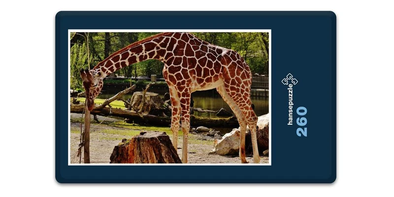 18910 Tierwelt - Giraffe Puzzle