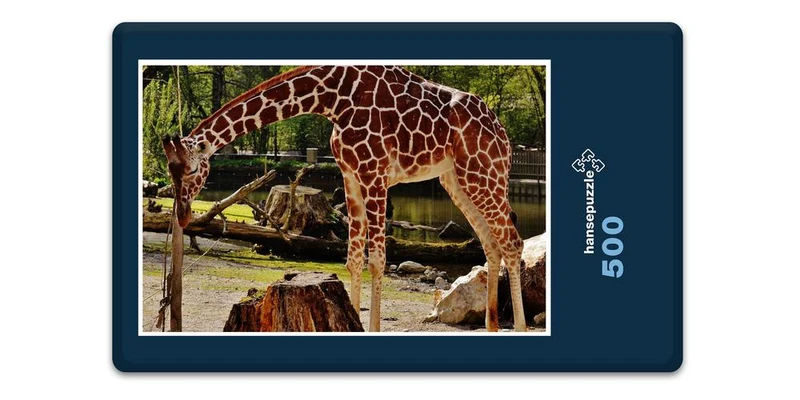 18910 Tierwelt - Giraffe Puzzle