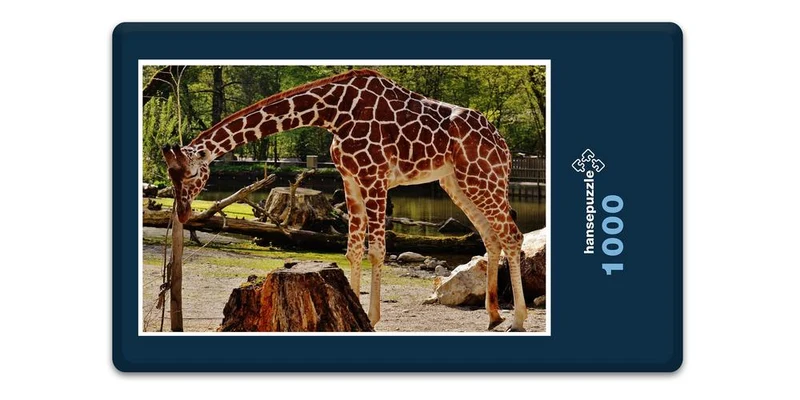 18910 Tierwelt - Giraffe Puzzle