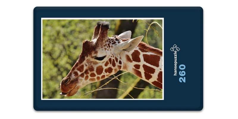 18907 Tierwelt - Giraffe Puzzle