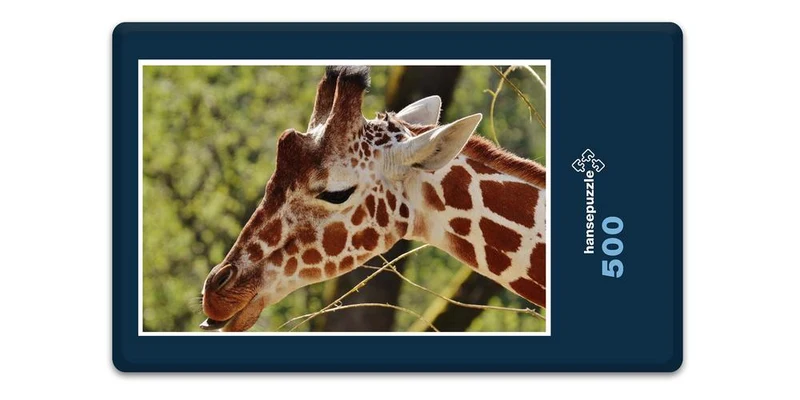 18907 Tierwelt - Giraffe Puzzle