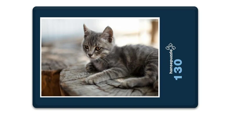 16777 Tierwelt - Katze Puzzle