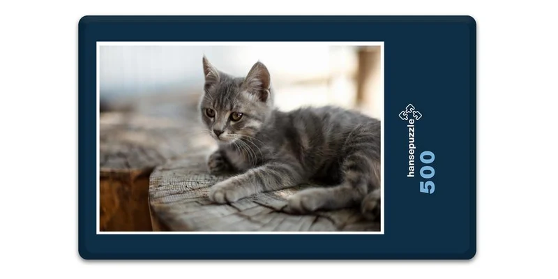 16777 Tierwelt - Katze Puzzle