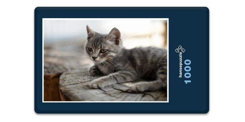 16777 Tierwelt - Katze Puzzle