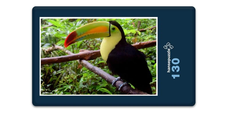 16773 Tierwelt - Vogel Puzzle