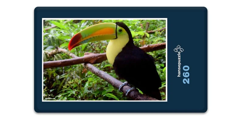 16773 Tierwelt - Vogel Puzzle