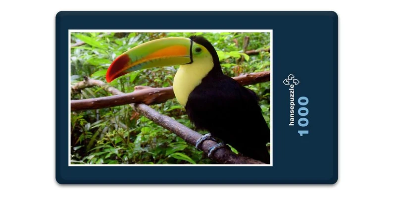 16773 Tierwelt - Vogel Puzzle