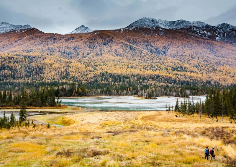 17318 Natur - In Xinjiang Puzzle