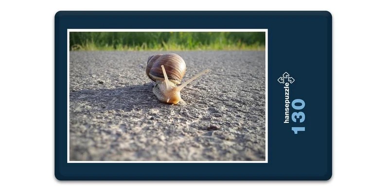 17228 Sport - Schnecke im Weg Puzzle