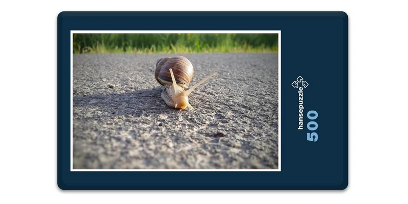 17228 Sport - Schnecke im Weg Puzzle