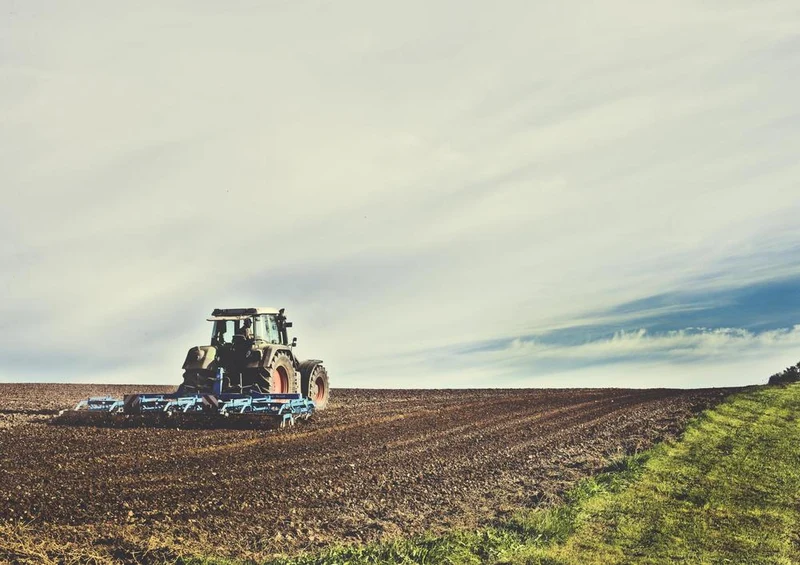 23771 Natur - Landwirtschaft Puzzle