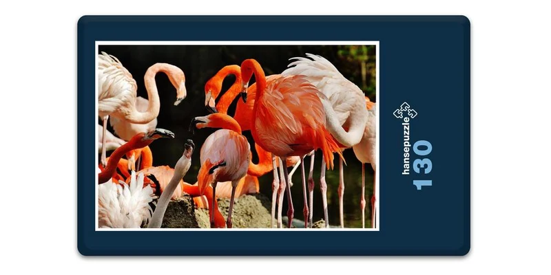 18898 Tierwelt - Flamingos Puzzle