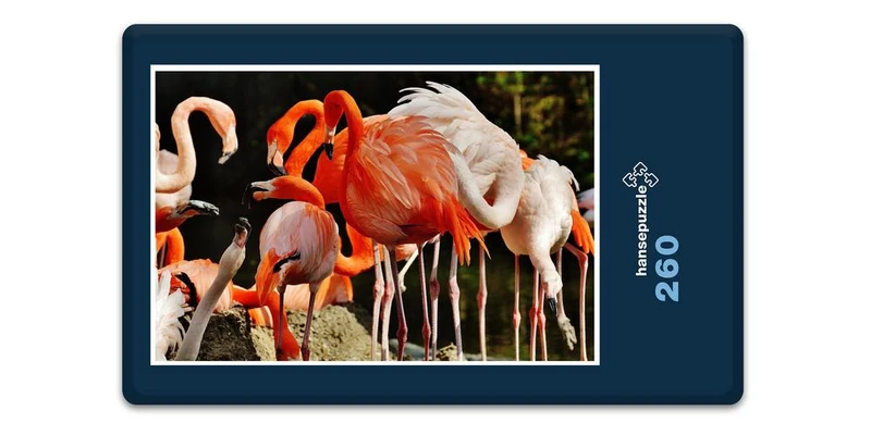 18898 Tierwelt - Flamingos Puzzle