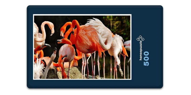 18898 Tierwelt - Flamingos Puzzle