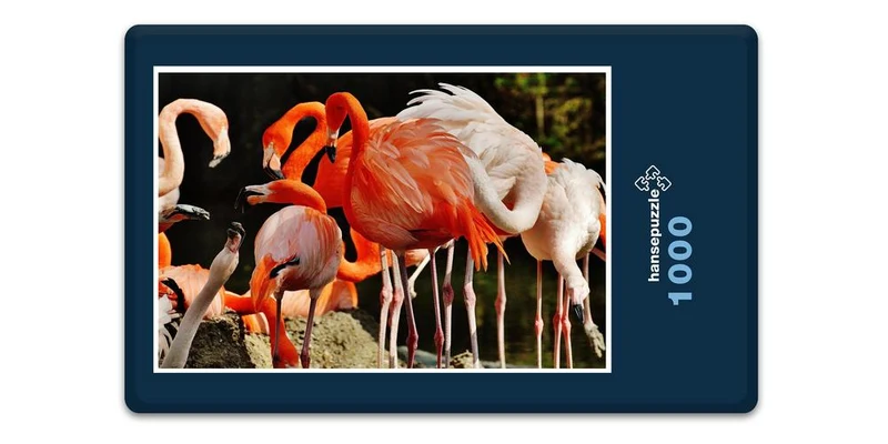 18898 Tierwelt - Flamingos Puzzle