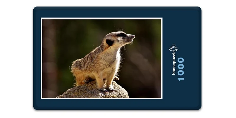 18890 Tierwelt - Erdmännchen Puzzle