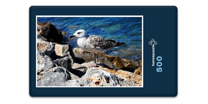 18882 Tierwelt - Möwe Puzzle