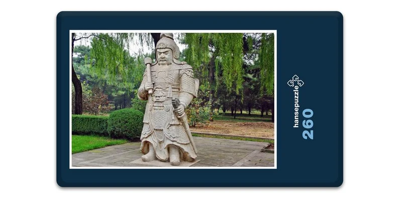 17329 Orte - China Puzzle