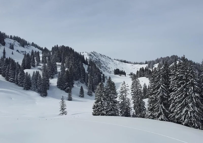17244 Natur - Schnee-Landschaft Puzzle