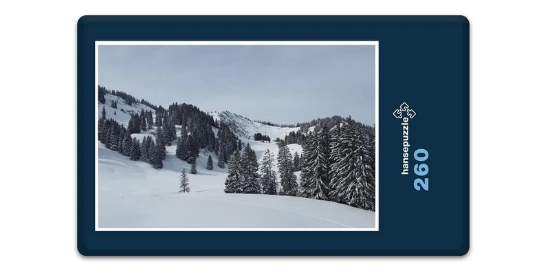 17244 Natur - Schnee-Landschaft Puzzle