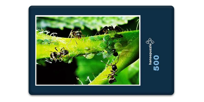 17179 Natur - Ameisen Puzzle