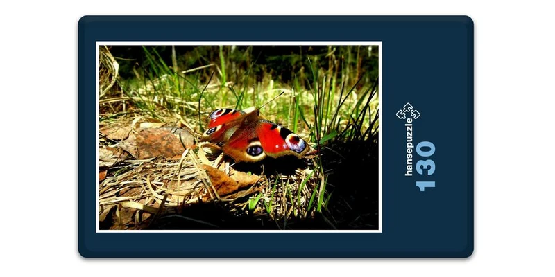 17180 Tierwelt - Schmetterling Puzzle