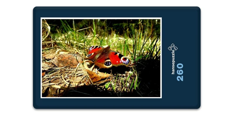 17180 Tierwelt - Schmetterling Puzzle