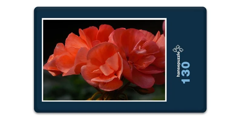 17181 Natur - Begonie Puzzle