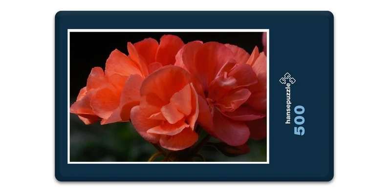 17181 Natur - Begonie Puzzle