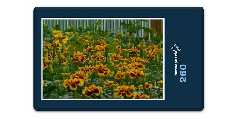 17182 Natur - gelbe Begonie Puzzle