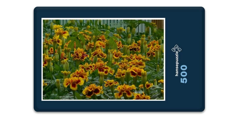 17182 Natur - gelbe Begonie Puzzle