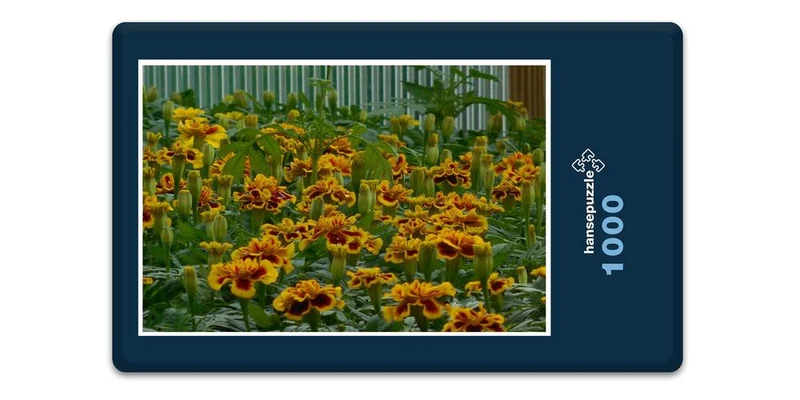 17182 Natur - gelbe Begonie Puzzle