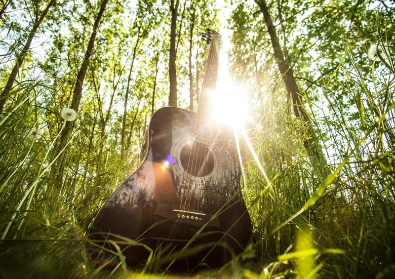 17183 Musik - Gitarre im Wald Puzzle