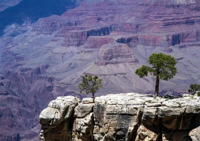 18959 Natur - Grand Canyon Puzzle