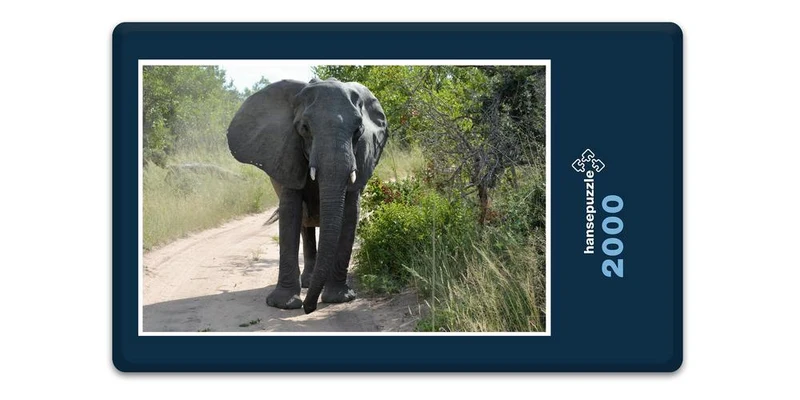 17388 Tierwelt - Afrika Puzzle