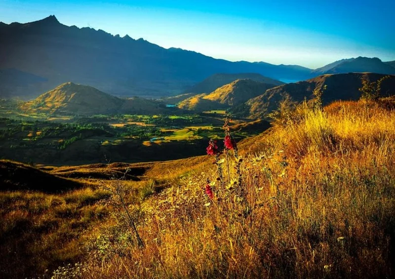 19149 Natur - Neuseeland Puzzle