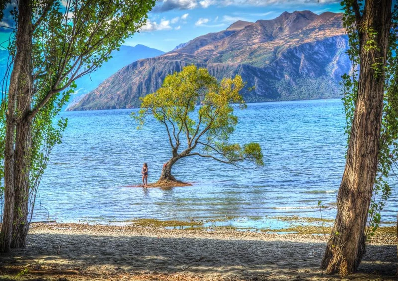 19138 Natur - Neuseeland Puzzle