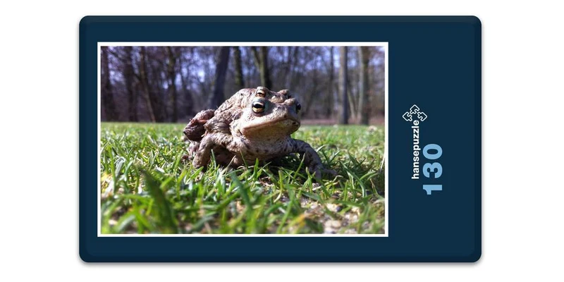 17246 Natur - Kröten-Familie Puzzle