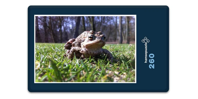 17246 Natur - Kröten-Familie Puzzle