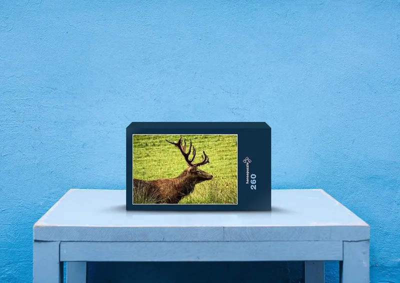 28024 Tierwelt - Hirsch Puzzle