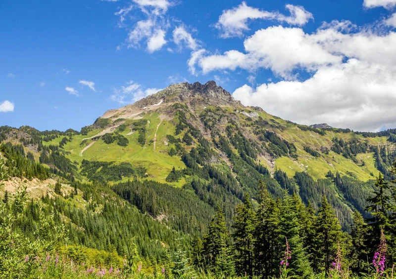 28068 Reisen - Berglandschaft Puzzle