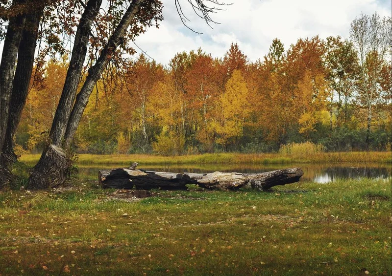 28072 Natur - Herbst Puzzle