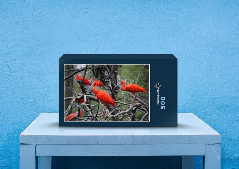 25255 Tierwelt - Orangene Vögel Puzzle