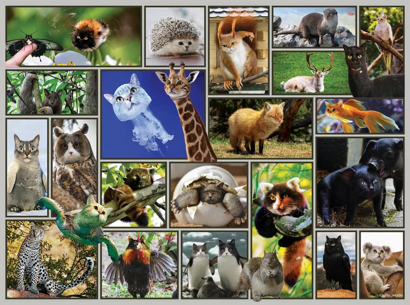 Cats Are Everywhere - Cats Galore! (1000pcs)