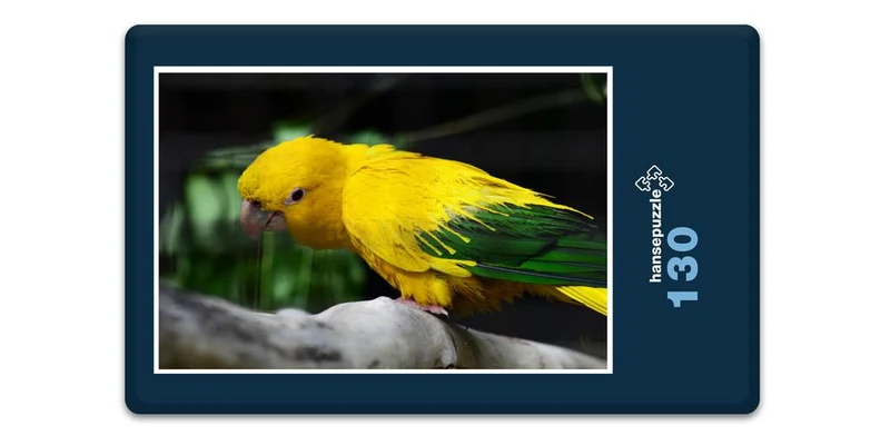 17453 Tierwelt - Golden Conure Puzzle