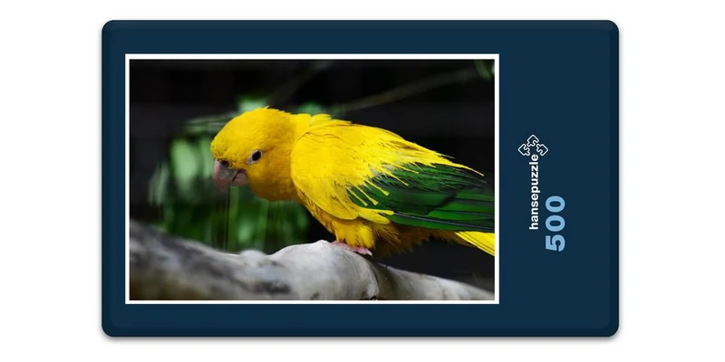 17453 Tierwelt - Golden Conure Puzzle