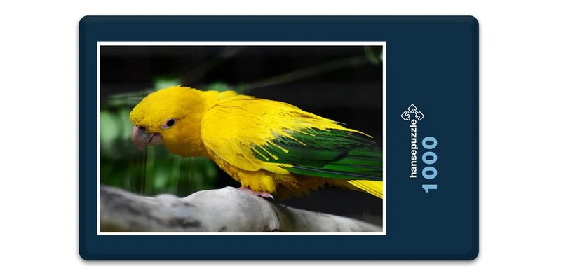 17453 Tierwelt - Golden Conure Puzzle