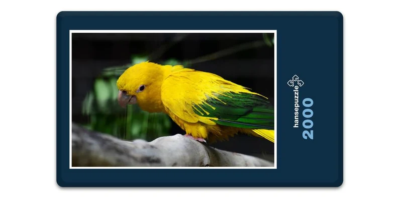17453 Tierwelt - Golden Conure Puzzle