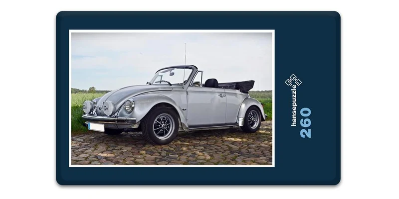 17431 Fortbewegung - Klassiker Puzzle