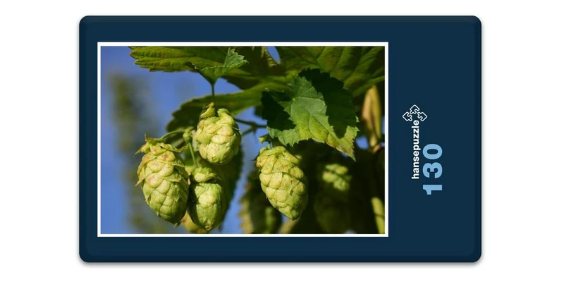 17462 Natur - Hopfen Puzzle